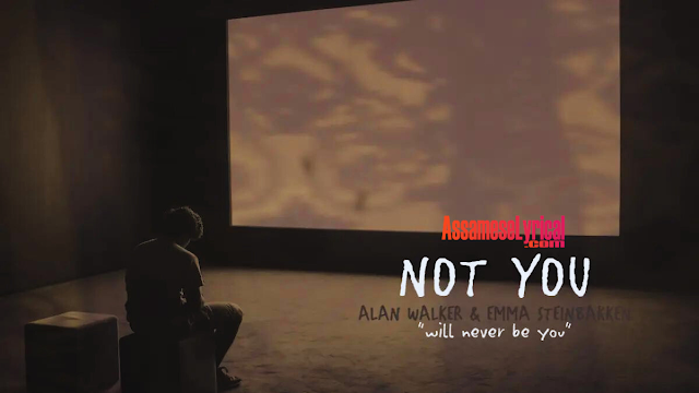 Alan Walker x Emma Steinbakken - Not You - AssameseLyrical
