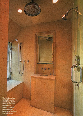 Walk in Shower Design