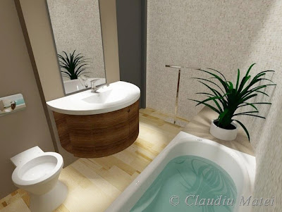 Elegant Bathroom Design