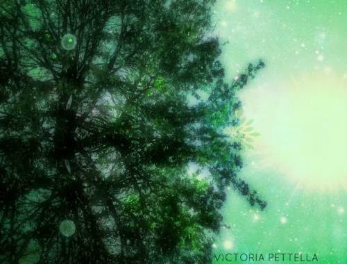 Magic Rising Beneath The Earth