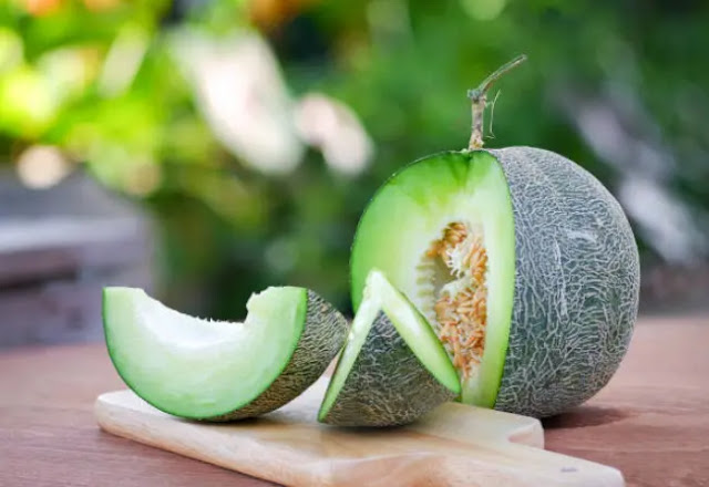 Buah Melon Buah Melon