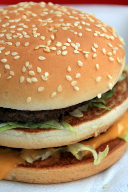 Photo d'un Big Mac - crédit Lord-Phillock
