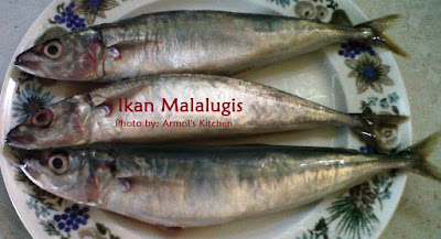 Ikan Malalugis