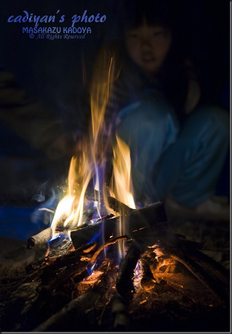 D700_2013-01-12_006
