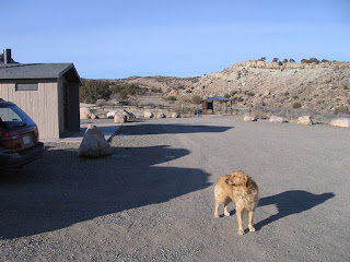 Scout with his nose into the wind at the Devil's Canyon trailhead