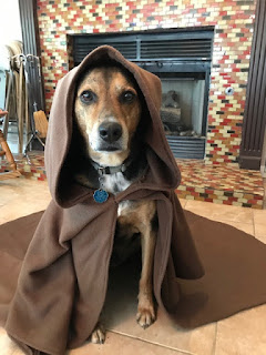 Star Wars, Dog Photo Shoot