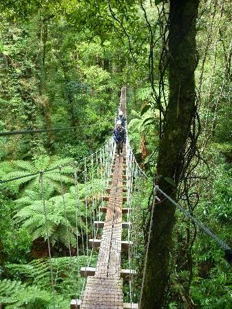 10 Best Adventure Holiday Destinations | Rotorua Canopy Tours - Rotorua, New Zealand 