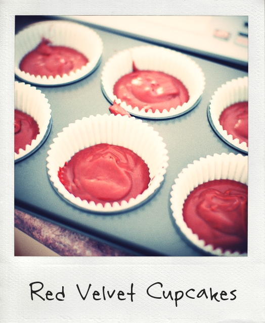 Red Velvet Cupcakes Cream Cheese Icing Chocolate Recipe