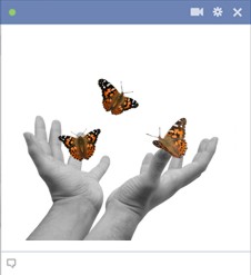 Facebok Butterflies Emoticon