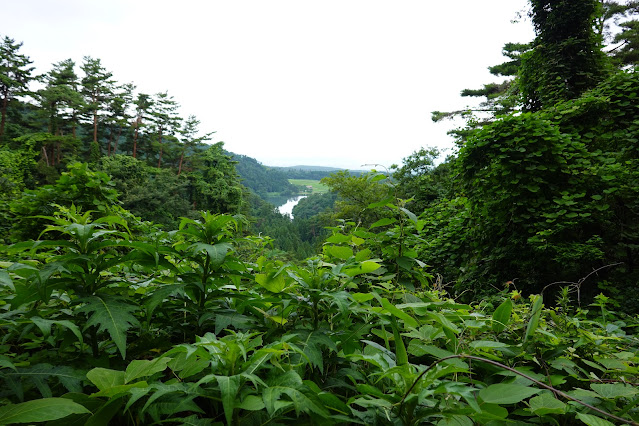 鳥取県西伯郡大山町赤松 赤松池