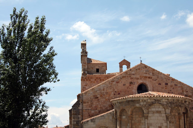 Cicogne su tetto di una chiesa-Zamora