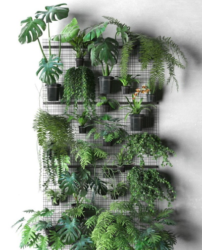 mur de plantes vertes urban jungle