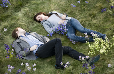 nomber-one-hot-couple-of-twilight-movie