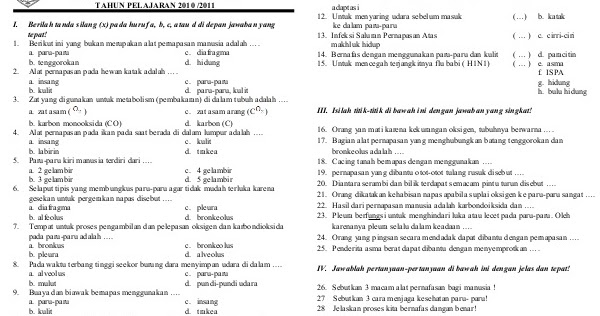 Download Kumpulan Soal UTS SD Kelas 5 Semester 1