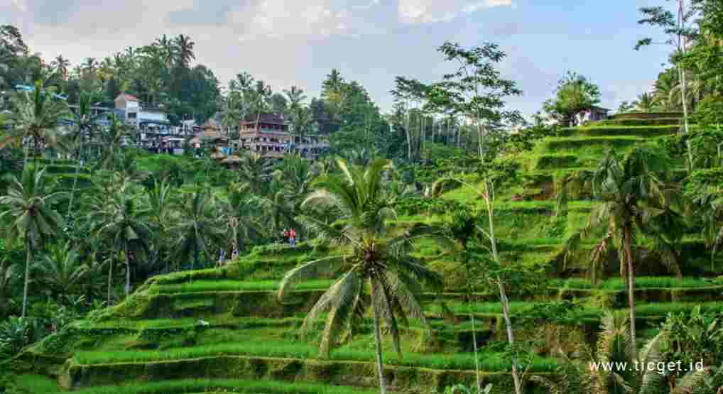 tegalalang-rice-terrace-ubud-bali