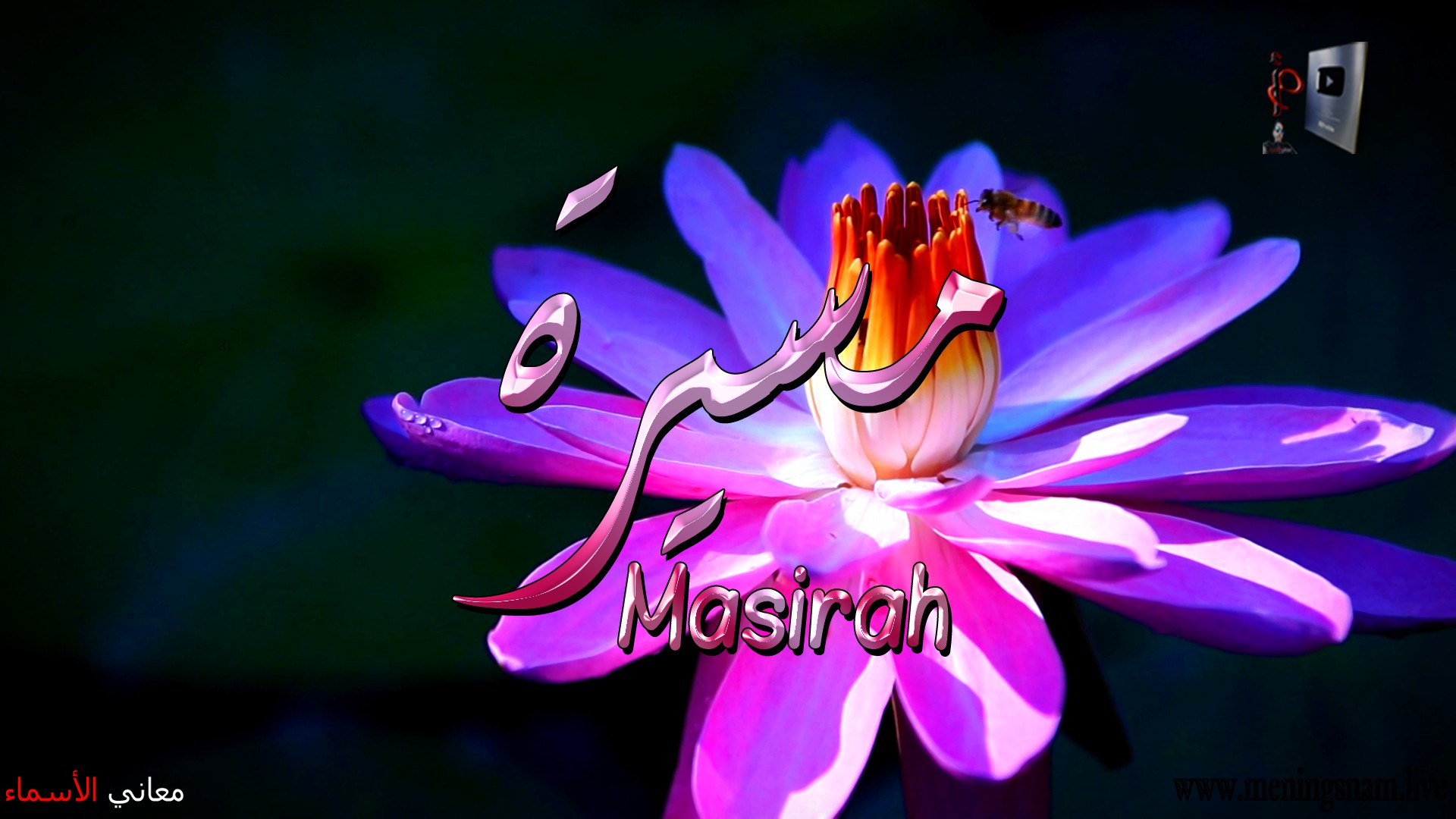 معنى اسم, مسيرة, وصفات, حاملة, هذا الاسم, Masirah,