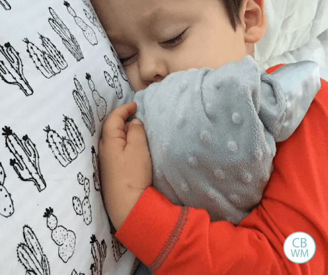  How Healthy Sleep is Possible from Birth Through Older Children How Healthy Sleep is Possible from Birth Through Older Children