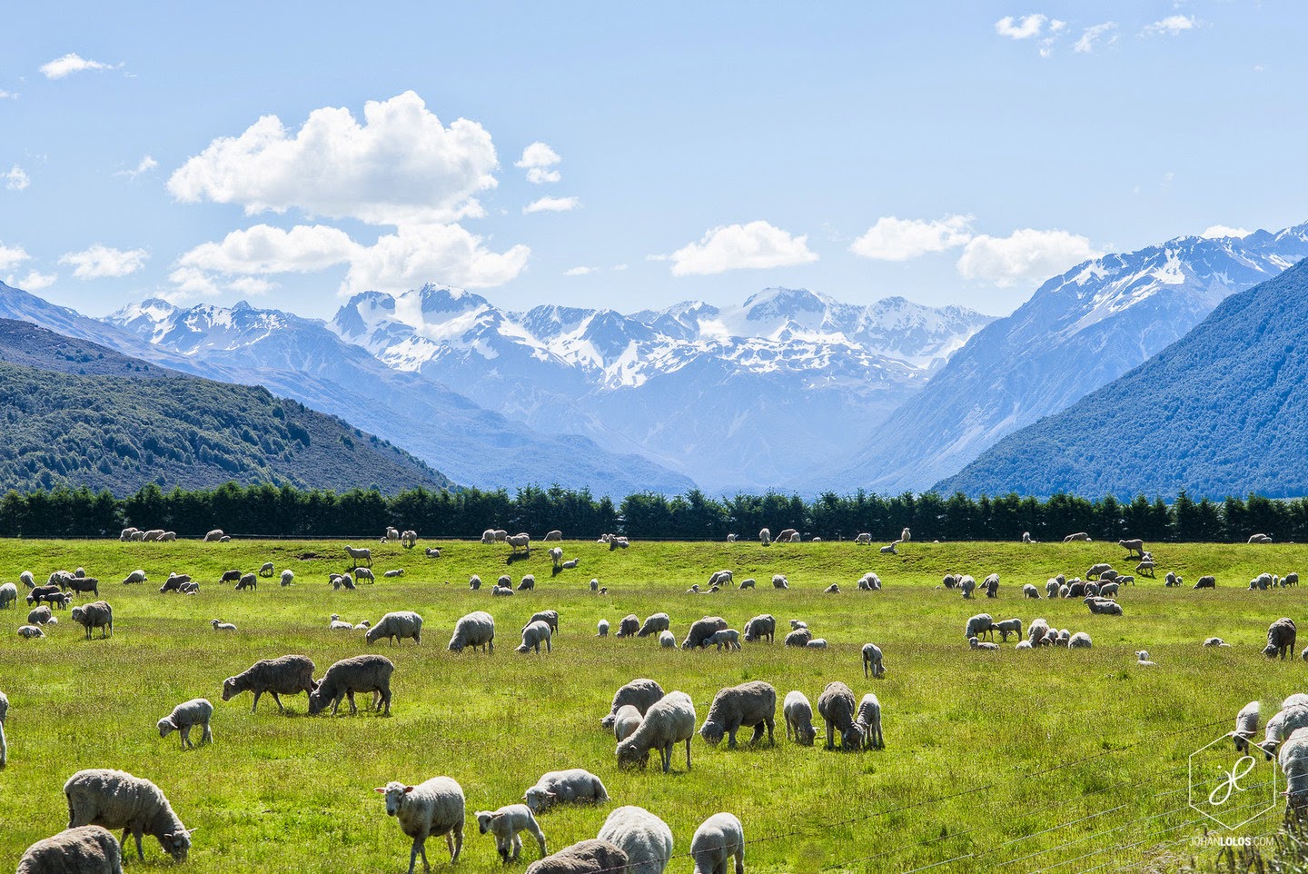 Arthur's Pass - He Traveled Around New Zealand In A Camper Van… This Is What He Saw.