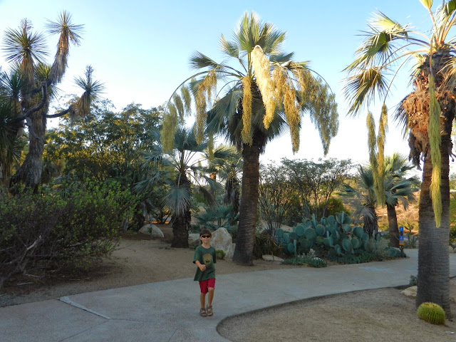 Balboa Park San Diego Cactus garden