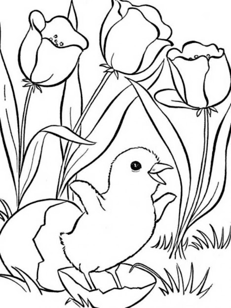 Cute Little Chick And Flower Spring Animal Coloring Pages Spring Coloring  Pages Baby Animal Coloring Pages Flower Coloring Pages Free Online  Coloring 