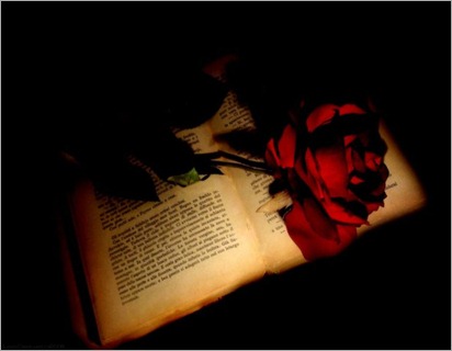rosa-y-libro (1)