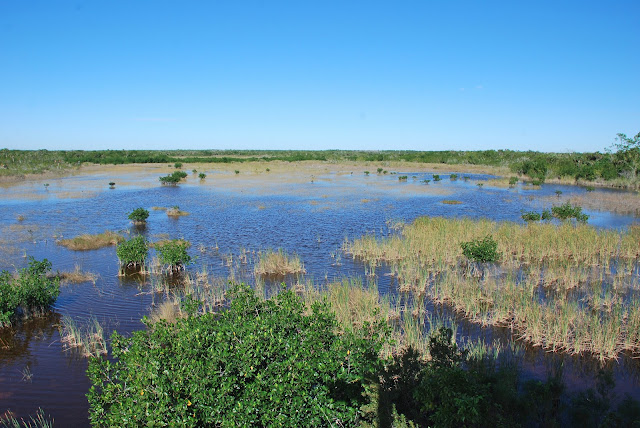 Everglades National Park's Ten Thousand Islands