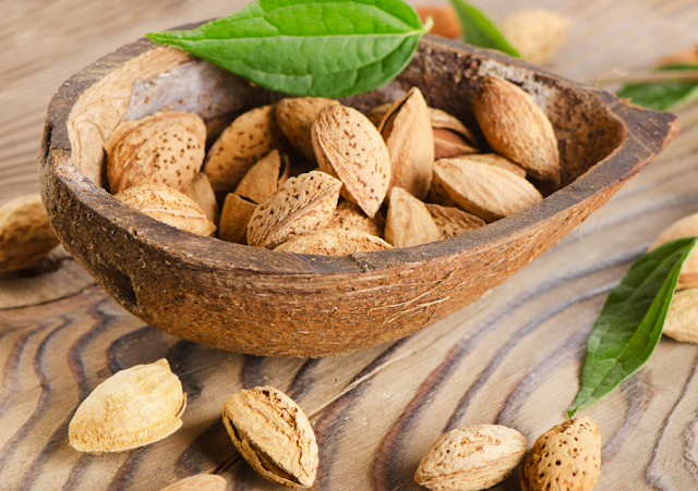 Do Almond Kernel Really Boost Sharpe Brain Power Memory