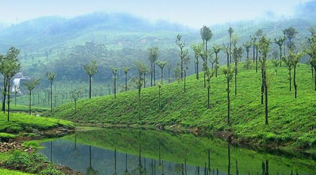 Valparai Nature