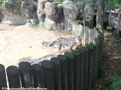 The Maryland Zoo in Baltimore