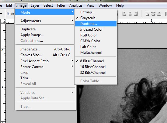 step2 - convert to duotone