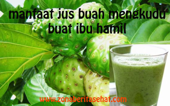 manfaat jus mengkudu zona berita sehat manfaat jus