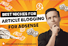 Best Niches for Article Blogging for AdSense in 2025