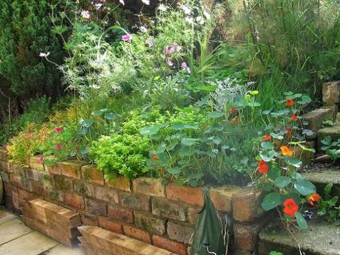 Herb Garden Design Ideas
