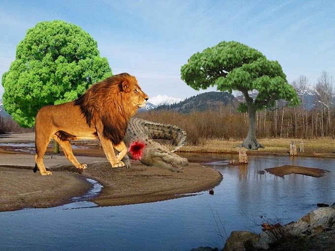 शेर और मगर की कहानी | पानी में रहकर मगरमच्छ से बैर