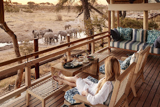 African Safari Honeymoon