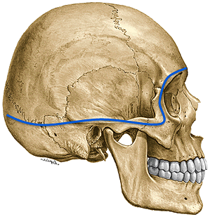 Limits of cranio