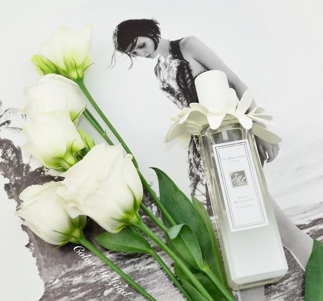 Jo Malone London Star Magnolia Review