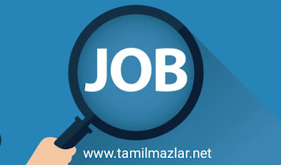 Today News Paper Jobs All district of tamilnadu 