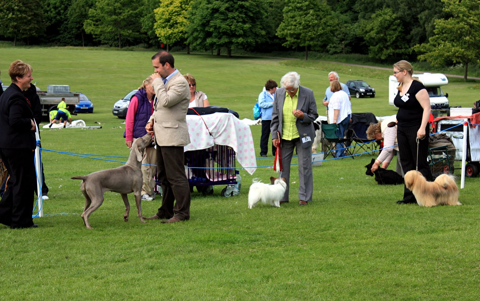 Spey Valley Dog Training Club: Dundee Canine Club