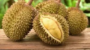 7 CARA MENENTUKKAN BUAH DURIAN MATANG MANIS DAN BERDAGING