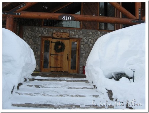 Hayhurst Snow Door