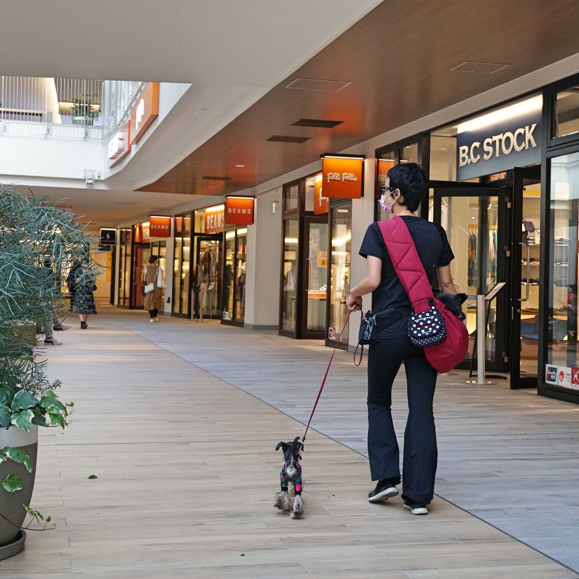 Travel With Small Dogs ちびわんと旅しよう 三井アウトレットパーク横浜ベイサイド 愛犬同伴で買い物ができる横浜市のアウトレット 施設