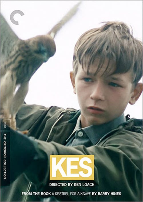 Ver Kes 1970 Pelicula Completa En Español Latino