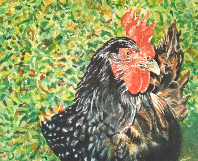 Watercolour of a rooster strutting about in a grassy farmyard, painted by William Walkington in 2017