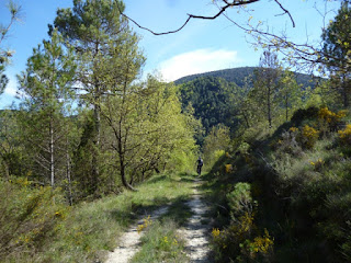 Camino Viejo a El Humo de Muro