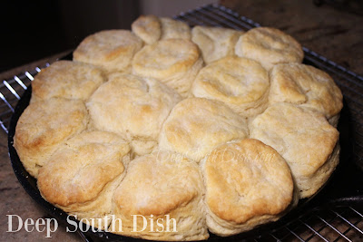 A tender, fluffy and light classic buttermilk biscuit, made with the addition of an egg.