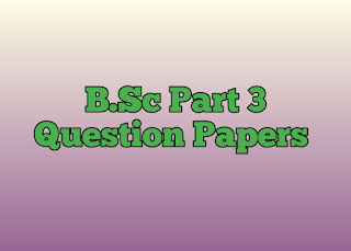 B.Sc Part 3 Bastar University Question Papers