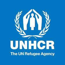 New Job Vacancy at The United Nations (UN) at UNHCR Tanzania: Programme Officer