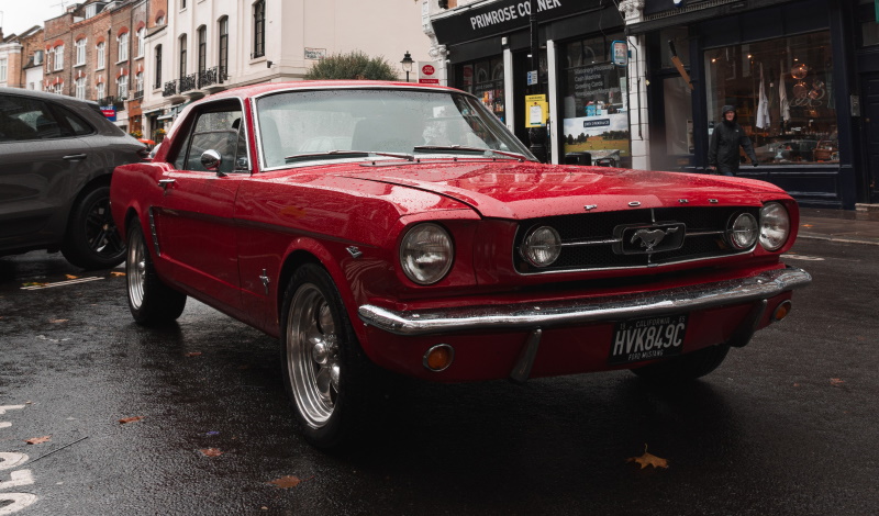 Everything You Need to Know About the Ford Mustang