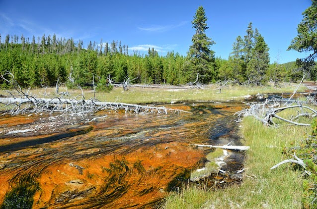 Yellowstone